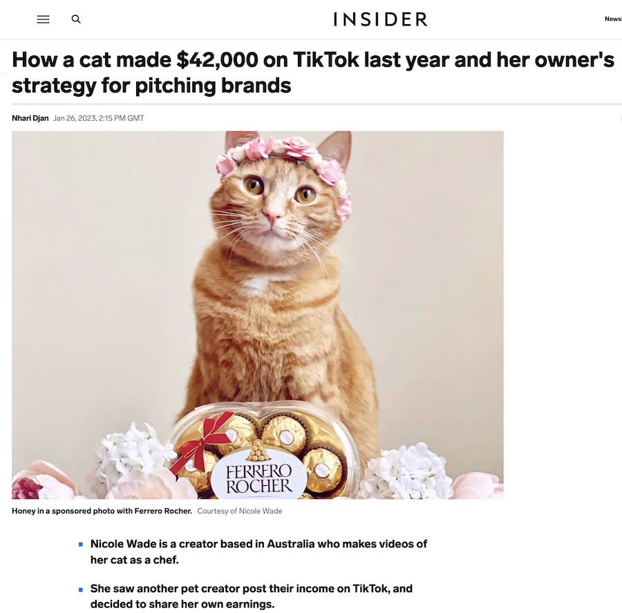 365 Viral Cat Videos Unrestricted PLR Bundle Review Overview of the 365 Viral Cat Videos Unrestricted PLR Bundle