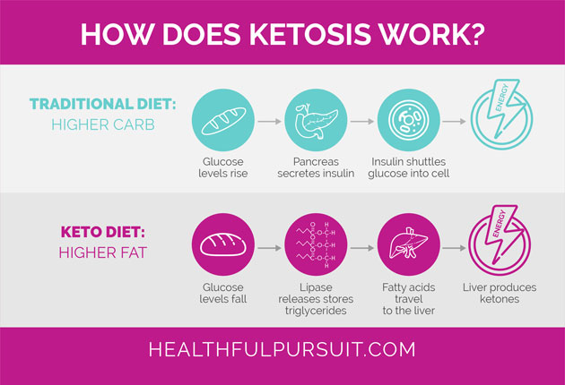 Keto Diet for Weight Loss: Does it Work? Key Features and Functionality
