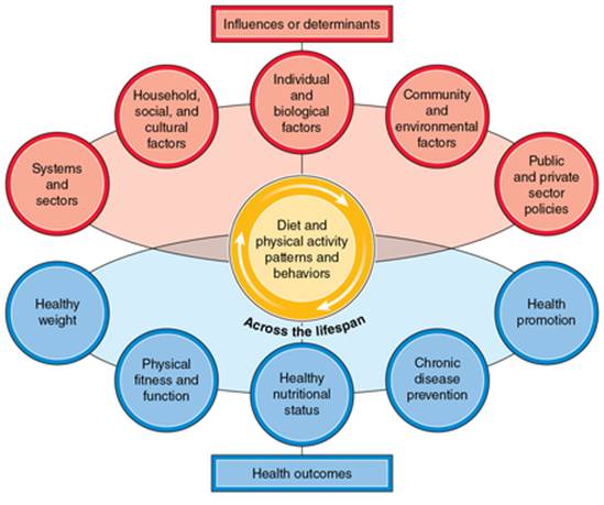 Physical Fitness for a Healthy Lifestyle Physical Fitness for a Healthy Lifestyle