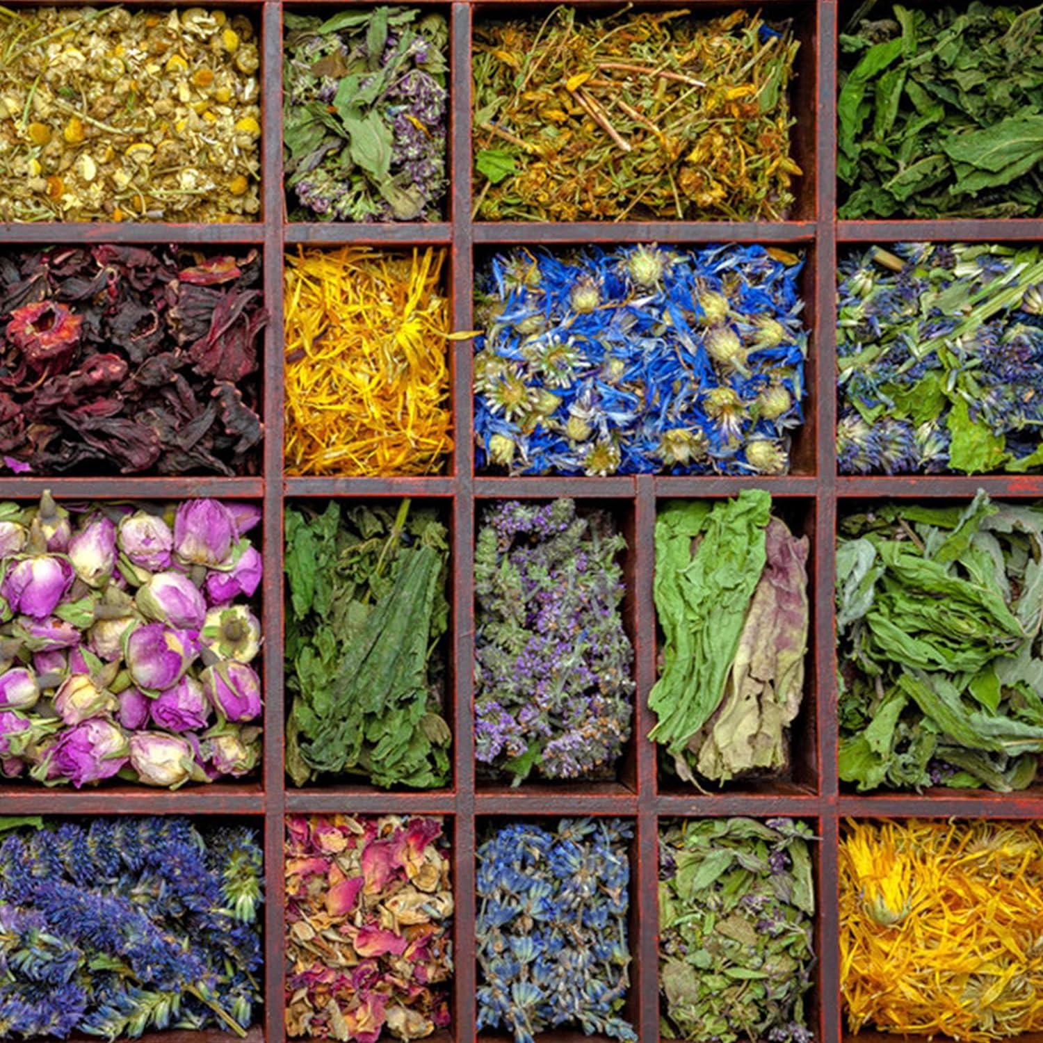 Horkadu® Tobacco-Free, Nicotine-Free, Herbal Cigarettes， 2 Packs,40 Smokes